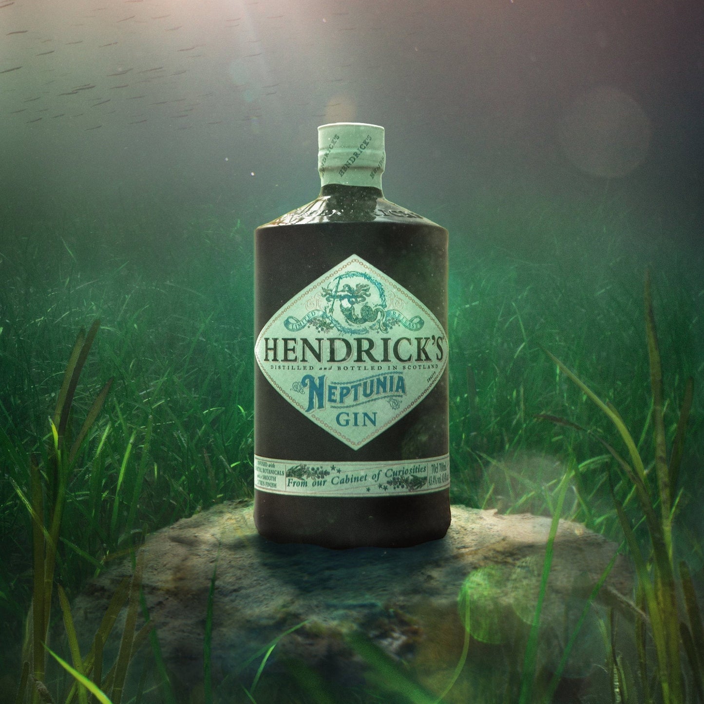 Schwarzbach Spirits: Hendrick's Neptunia Gin Flasche mit maritimen Noten, Rose und Gurke, 43,4% Vol.