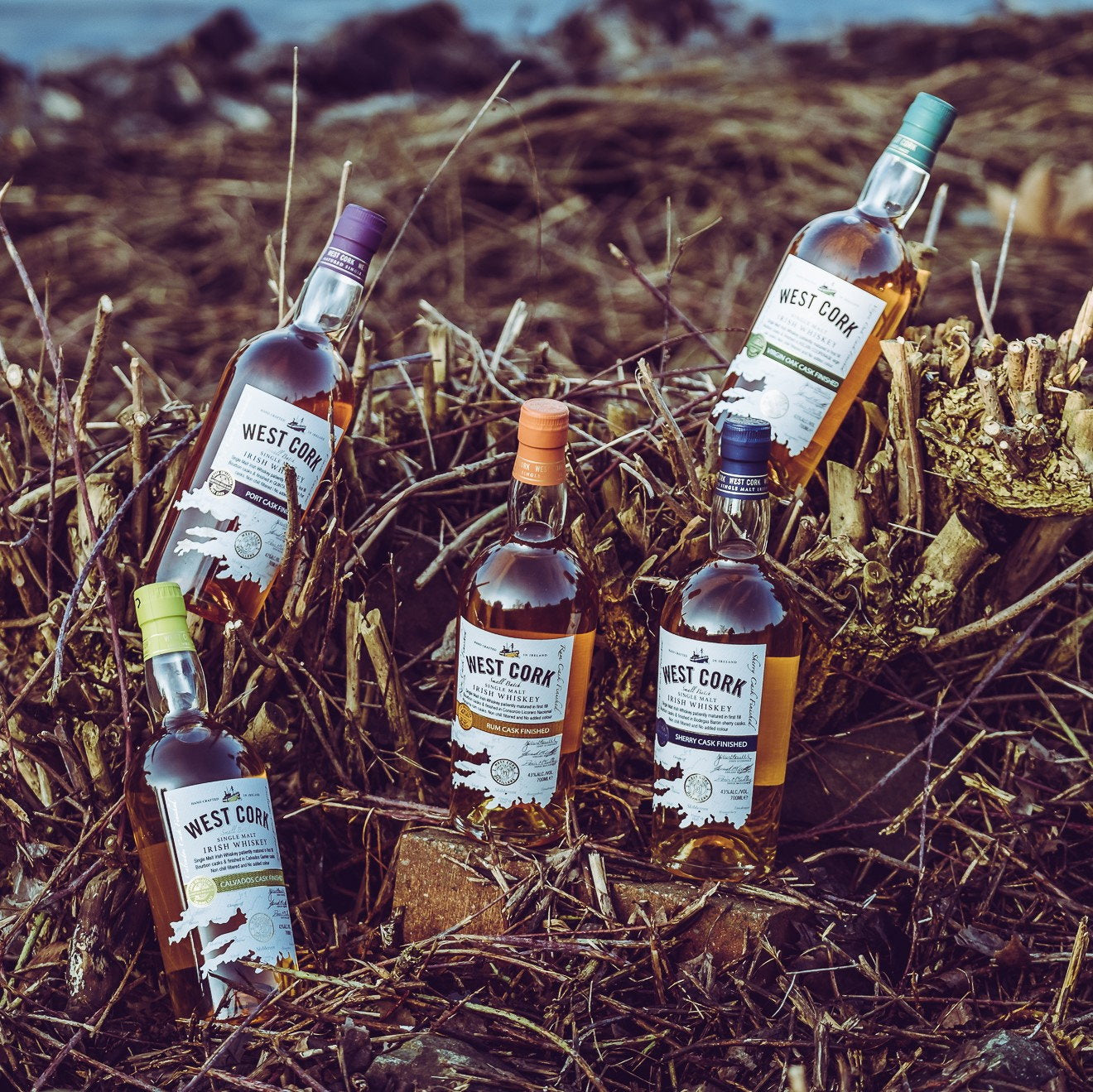 Schwarzbach Spirits collection of West Cork Irish Whiskey bottles with various cask finishes in a rustic outdoor setting